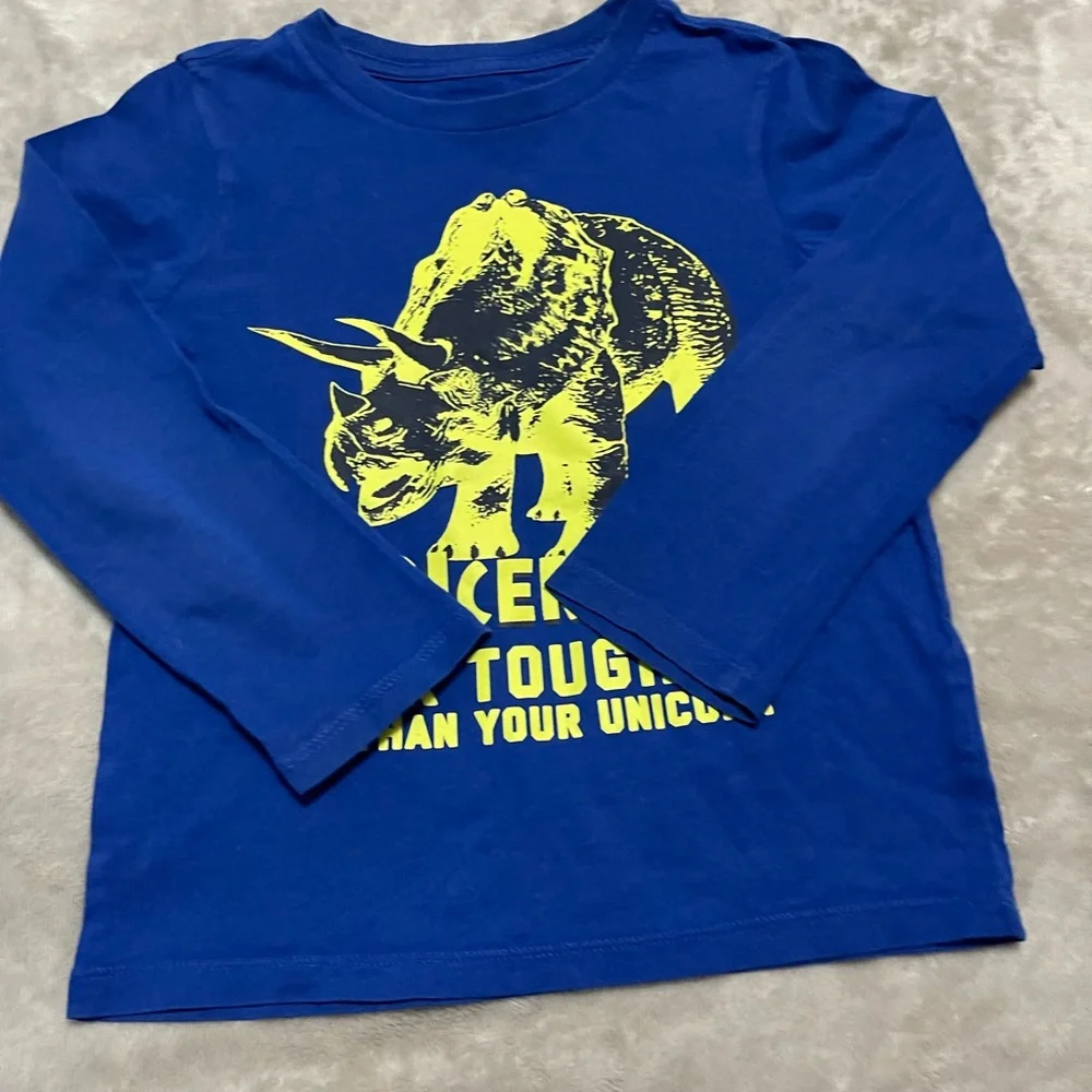 Bundle of two The children’s place kids long sleeve tees